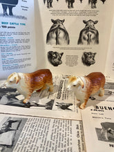 Load image into Gallery viewer, Horned Hereford Salt and Pepper Shakers