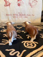 Load image into Gallery viewer, Horned Hereford Bull Salt and Pepper Shakers