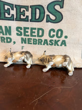 Load image into Gallery viewer, Brahman Bull Salt and Pepper Shakers