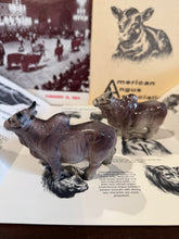 Load image into Gallery viewer, Brahman Bull Salt &amp; Pepper Shakers