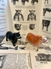 Load image into Gallery viewer, Angus and Hereford Bull Salt and Pepper Shakers