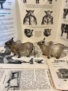 Brahma Bull Salt and Pepper Shakers