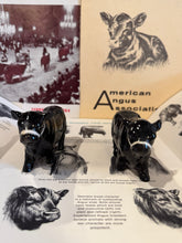 Load image into Gallery viewer, Angus Bull Salt &amp; Pepper Shakers