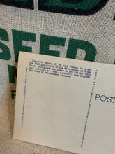 Load image into Gallery viewer, Hereford Calf Postcard