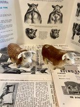 Load image into Gallery viewer, Horned Hereford Bull Salt and Pepper Shakers