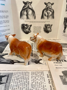 Polled Hereford Salt and Pepper Shakers