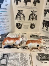 Load image into Gallery viewer, Polled Hereford Bull Salt and Pepper Shakers