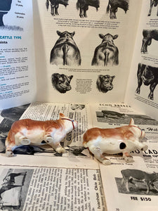 Polled Hereford Bull Salt and Pepper Shakers