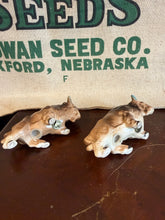 Load image into Gallery viewer, Buffalo Salt and Pepper Shakers