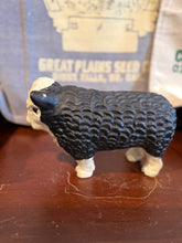 Load image into Gallery viewer, 9” Black Baldy Bull Bank