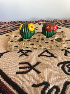 Cactus and Sand Salt and Pepper Shakers