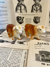 Load image into Gallery viewer, Horned Hereford Salt and Pepper Shakers