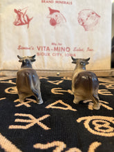 Load image into Gallery viewer, Brahman Bull Salt and Pepper Shakers