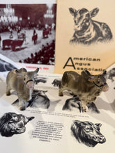 Load image into Gallery viewer, Brahman Bull Salt &amp; Pepper Shakers