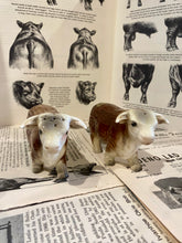 Load image into Gallery viewer, Horned Hereford Bull Salt and Pepper Shakers