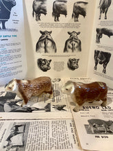 Load image into Gallery viewer, Horned Hereford Bull Salt and Pepper Shakers