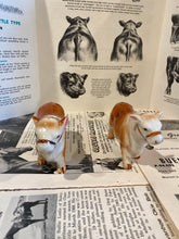 Load image into Gallery viewer, Polled Hereford Salt and Pepper Shakers