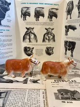 Load image into Gallery viewer, Polled Hereford Bull Salt and Pepper Shakers