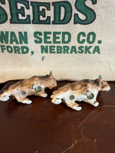 Load image into Gallery viewer, Buffalo Salt and Pepper Shakers