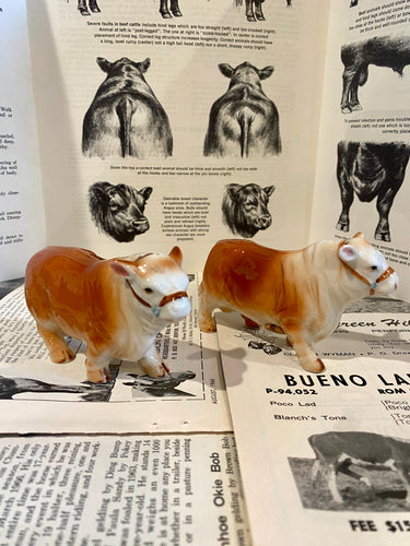 Polled Hereford Salt and Pepper Shakers