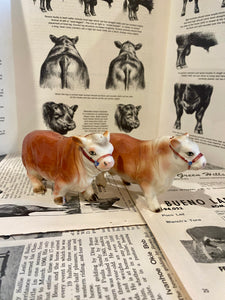 Polled Hereford Bull Salt and Pepper Shakers