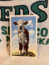 Load image into Gallery viewer, Hereford Calf Postcard