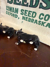 Load image into Gallery viewer, Angus Bull Salt and Pepper Shakers