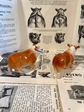 Load image into Gallery viewer, Polled Hereford Salt and Pepper Shakers