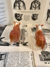 Load image into Gallery viewer, Polled Hereford Bull Salt and Pepper Shakers