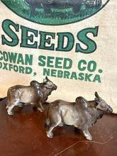 Load image into Gallery viewer, Brahman Bull Salt and Pepper Shakers