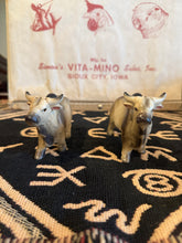 Load image into Gallery viewer, Brahman Bull Salt and Pepper Shakers