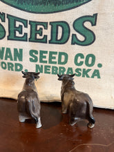 Load image into Gallery viewer, Brahman Bull Salt and Pepper Shakers