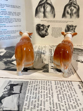 Load image into Gallery viewer, Polled Hereford Salt and Pepper Shakers