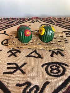 Cactus and Sand Salt and Pepper Shakers