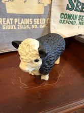 Load image into Gallery viewer, 9” Black Baldy Bull Bank