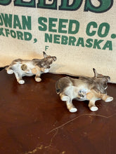 Load image into Gallery viewer, Brahman Bull Salt and Pepper Shakers