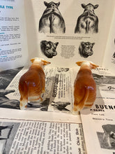 Load image into Gallery viewer, Horned Hereford Salt and Pepper Shakers