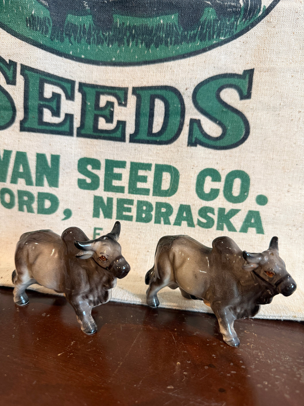 Brahman Bull Salt and Pepper Shakers