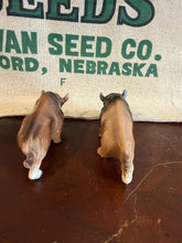 Load image into Gallery viewer, Buffalo Salt and Pepper Shakers