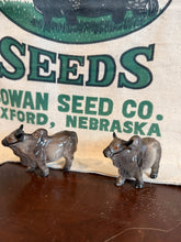 Load image into Gallery viewer, Brahman Bull Salt and Pepper Shakers