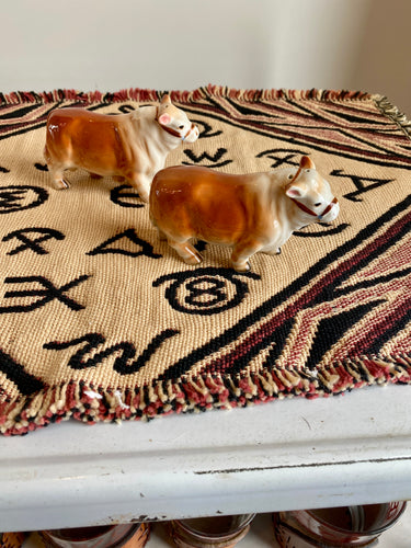 Polled Hereford Bull Salt & Pepper Shakers