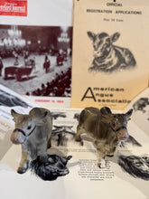 Load image into Gallery viewer, Brahman Bull Salt &amp; Pepper Shakers