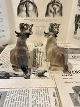 Load image into Gallery viewer, Brahma Bull Salt and Pepper Shakers