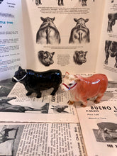 Load image into Gallery viewer, Angus and Hereford Bull Salt and Pepper Shakers