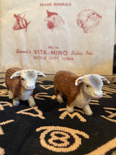 Load image into Gallery viewer, Horned Hereford Bull Salt and Pepper Shakers