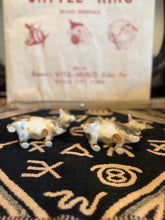 Load image into Gallery viewer, Brahman Bull Salt and Pepper Shakers