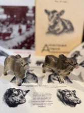 Load image into Gallery viewer, Brahman Bull Salt &amp; Pepper Shakers