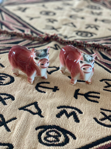 Polled Hereford Cow Salt and Pepper Shakers