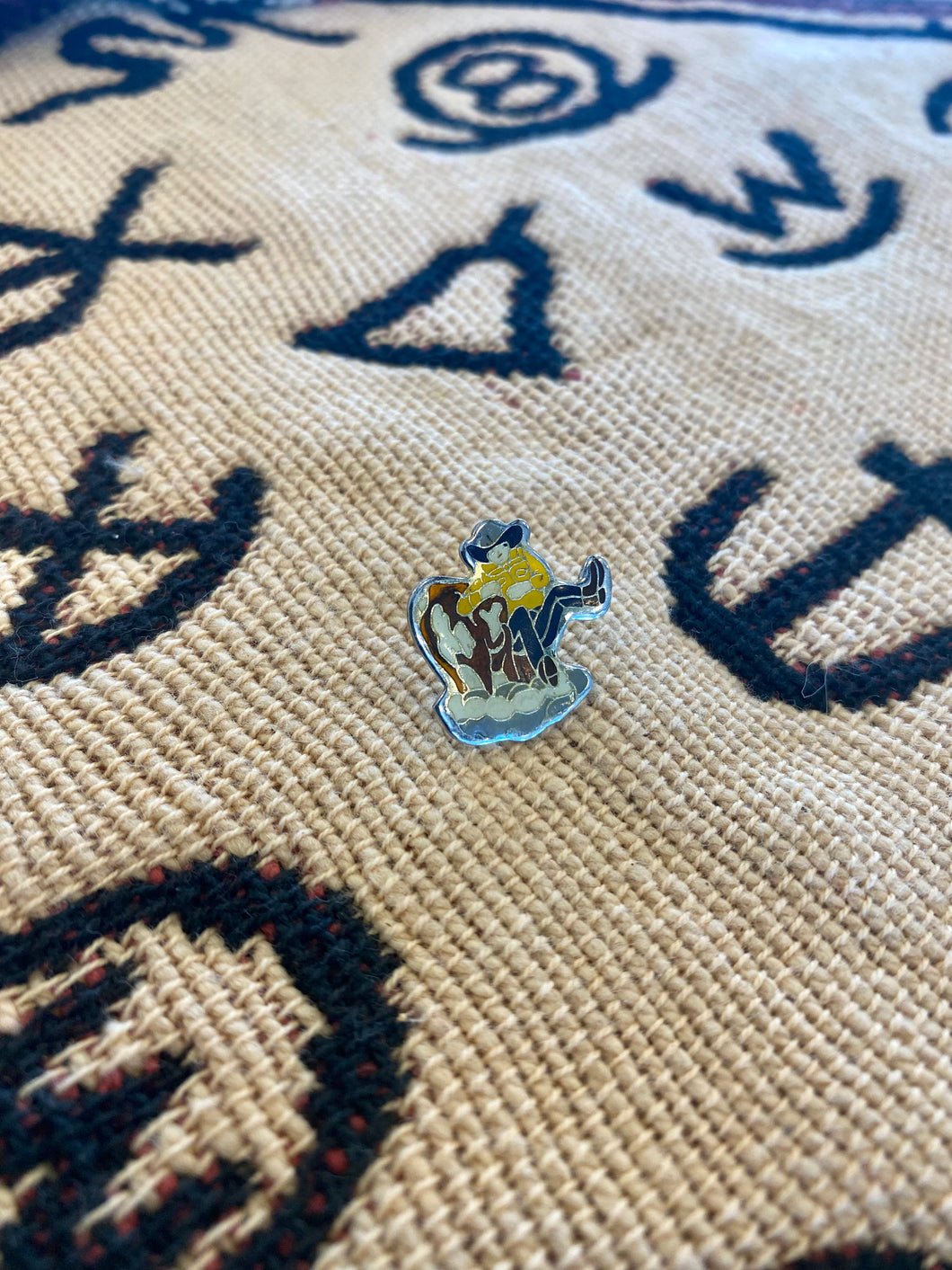 Steer Wrestler Pin